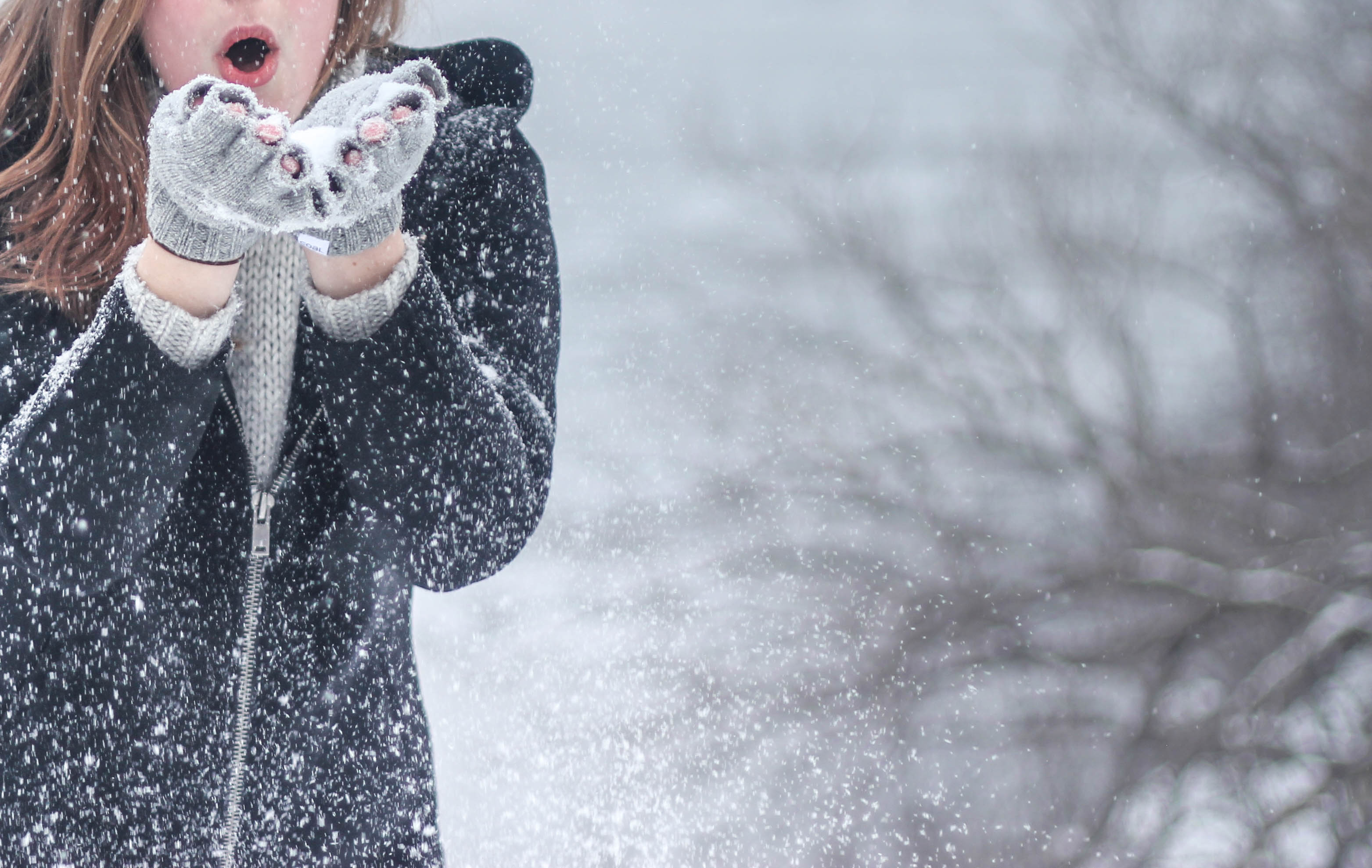 winter storage ottawa